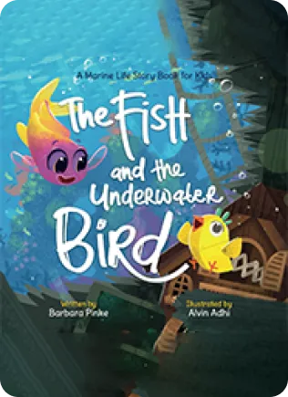 book-11